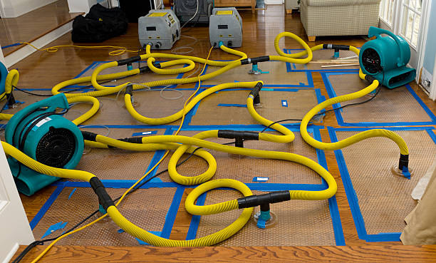 Professional Crawl Space Water Removal technician working in Harris, MN